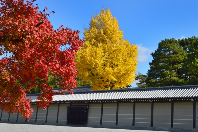 京都御苑の概要